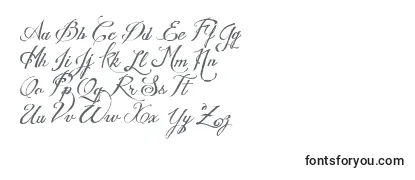 Review of the WeddingNightmaresPersonalUse Font