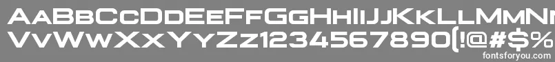 PlateiaBold Font – White Fonts on Gray Background