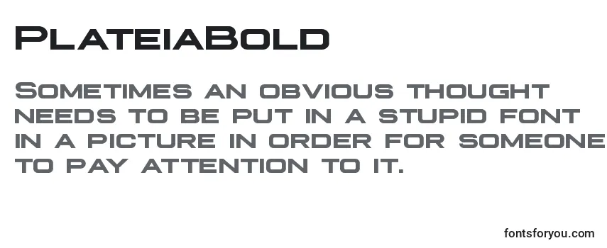 Review of the PlateiaBold Font