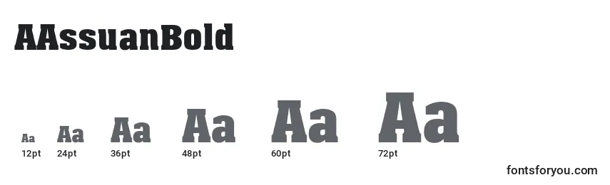 AAssuanBold Font Sizes