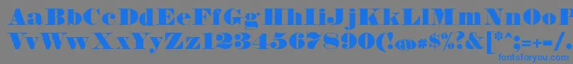 FetteBauerscheAntiquaUnz1 Font – Blue Fonts on Gray Background