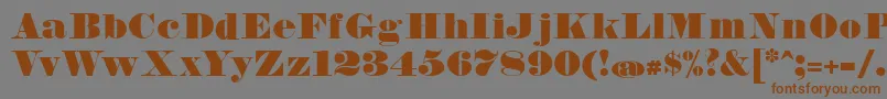 FetteBauerscheAntiquaUnz1 Font – Brown Fonts on Gray Background