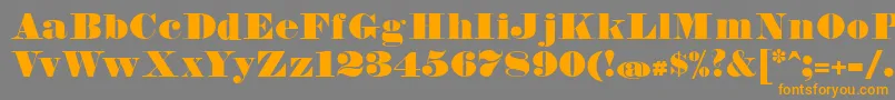 FetteBauerscheAntiquaUnz1 Font – Orange Fonts on Gray Background
