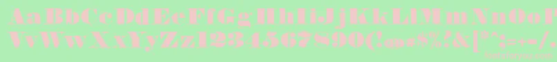 FetteBauerscheAntiquaUnz1 Font – Pink Fonts on Green Background