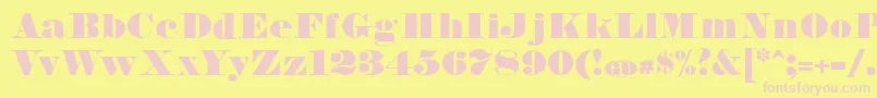 FetteBauerscheAntiquaUnz1 Font – Pink Fonts on Yellow Background