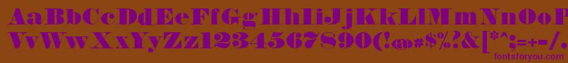 FetteBauerscheAntiquaUnz1 Font – Purple Fonts on Brown Background