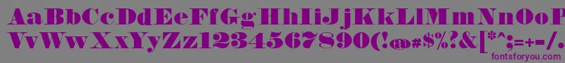 FetteBauerscheAntiquaUnz1 Font – Purple Fonts on Gray Background