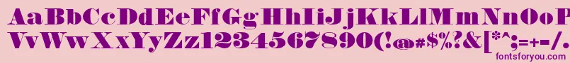 FetteBauerscheAntiquaUnz1 Font – Purple Fonts on Pink Background