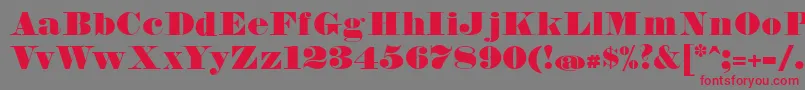 FetteBauerscheAntiquaUnz1 Font – Red Fonts on Gray Background