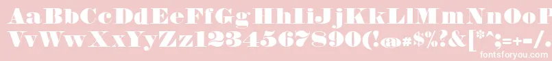FetteBauerscheAntiquaUnz1 Font – White Fonts on Pink Background