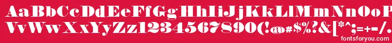 FetteBauerscheAntiquaUnz1 Font – White Fonts on Red Background