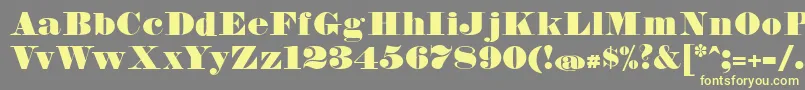 FetteBauerscheAntiquaUnz1 Font – Yellow Fonts on Gray Background