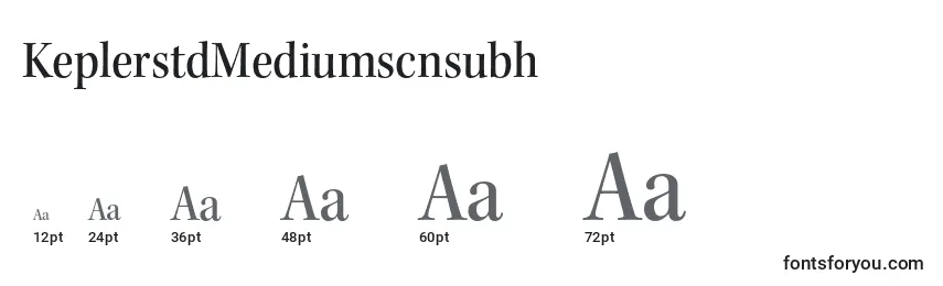 Размеры шрифта KeplerstdMediumscnsubh