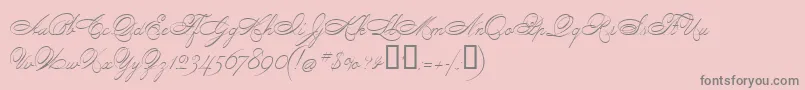PenmanScript Font – Gray Fonts on Pink Background