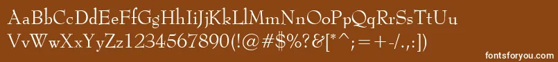 Police BernadetteRegular – polices blanches sur fond brun