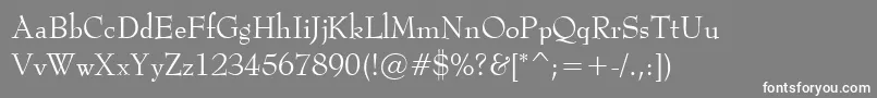 BernadetteRegular Font – White Fonts on Gray Background