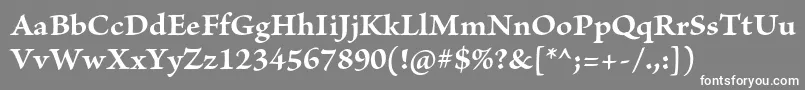 フォントBriosoproBold – 灰色の背景に白い文字