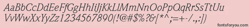 WeidemannstdBookitalic Font – Black Fonts on Pink Background