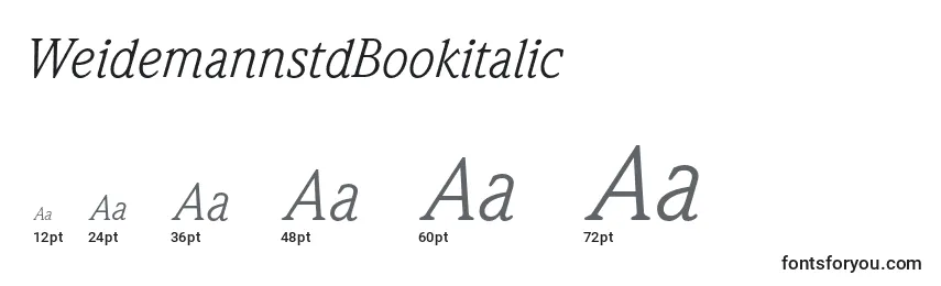 WeidemannstdBookitalic Font Sizes