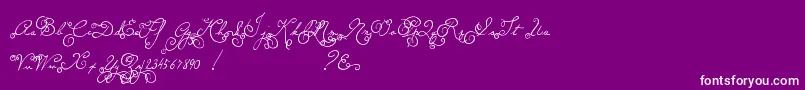 MtfMemory Font – White Fonts on Purple Background