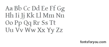 GentiumBookBasic Font