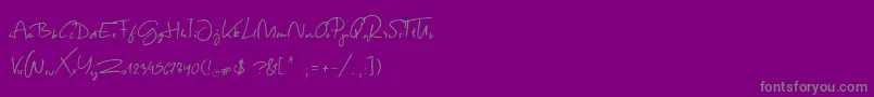 Police SpringScript – polices grises sur fond violet