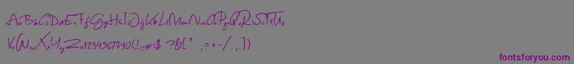 SpringScript-Schriftart – Violette Schriften auf grauem Hintergrund