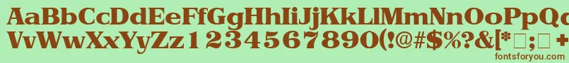 ToriiDisplaySsi Font – Brown Fonts on Green Background