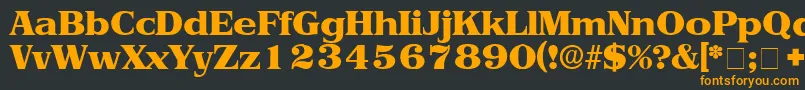 ToriiDisplaySsi Font – Orange Fonts on Black Background