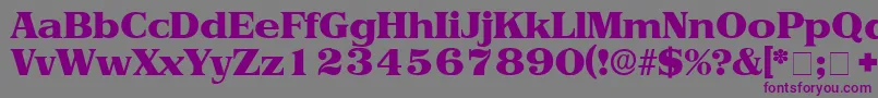 ToriiDisplaySsi-Schriftart – Violette Schriften auf grauem Hintergrund