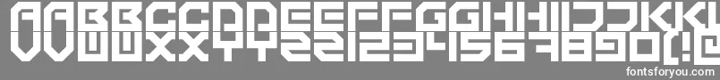 TechnonomiconRegular Font – White Fonts on Gray Background