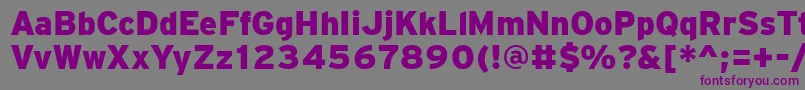 PftransitBlack-Schriftart – Violette Schriften auf grauem Hintergrund