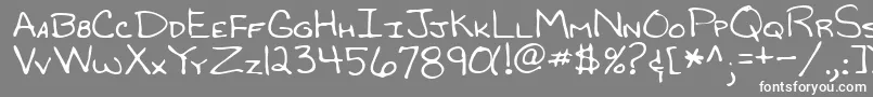 RandyRegular Font – White Fonts on Gray Background