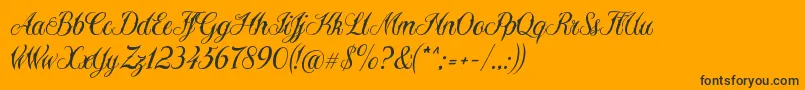Sewstain Font – Black Fonts on Orange Background