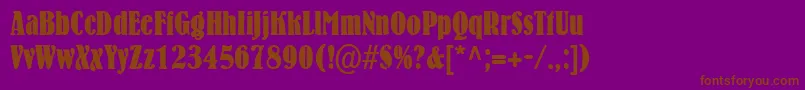 BernhardcondensedRegular Font – Brown Fonts on Purple Background