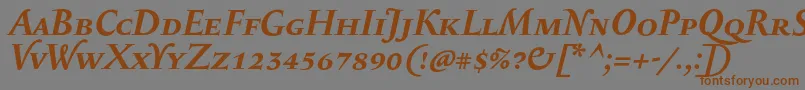 SerapioniiscBolditalic Font – Brown Fonts on Gray Background