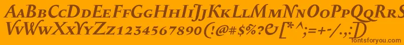 SerapioniiscBolditalic Font – Brown Fonts on Orange Background