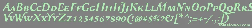 SerapioniiscBolditalic Font – Green Fonts on Gray Background