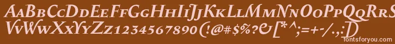 SerapioniiscBolditalic Font – Pink Fonts on Brown Background