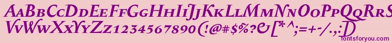 SerapioniiscBolditalic Font – Purple Fonts on Pink Background