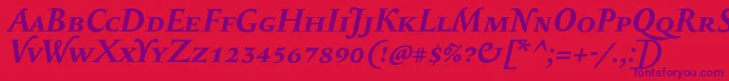 SerapioniiscBolditalic Font – Purple Fonts on Red Background