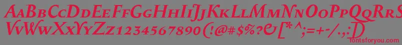 SerapioniiscBolditalic-Schriftart – Rote Schriften auf grauem Hintergrund