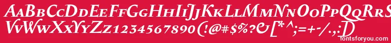 SerapioniiscBolditalic Font – White Fonts on Red Background