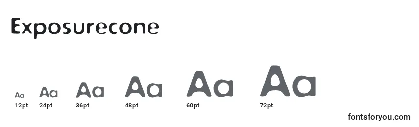 Exposurecone Font Sizes