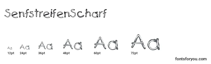 Размеры шрифта SenfstreifenScharf