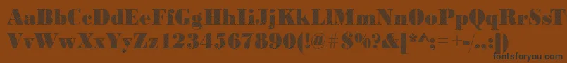 Bodonirising2Regular Font – Black Fonts on Brown Background