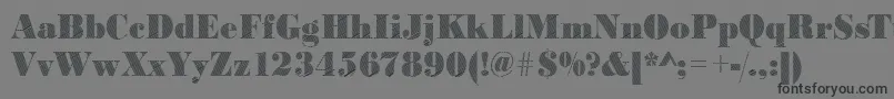 Bodonirising2Regular Font – Black Fonts on Gray Background