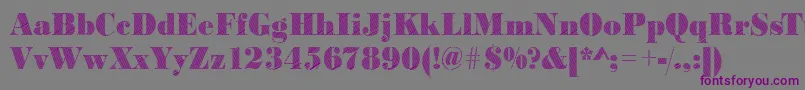 Bodonirising2Regular Font – Purple Fonts on Gray Background