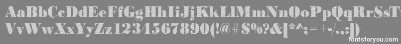 フォントBodonirising2Regular – 灰色の背景に白い文字