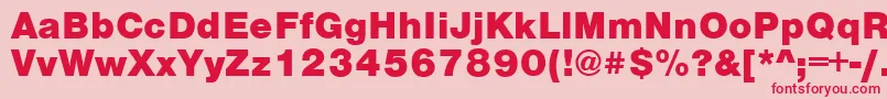 VantaBlackPlain.001.001 Font – Red Fonts on Pink Background